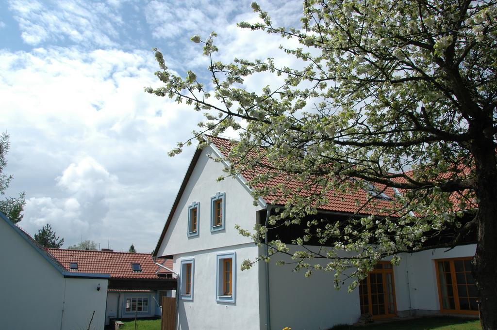 Boretinsky Statek Dış mekan fotoğraf